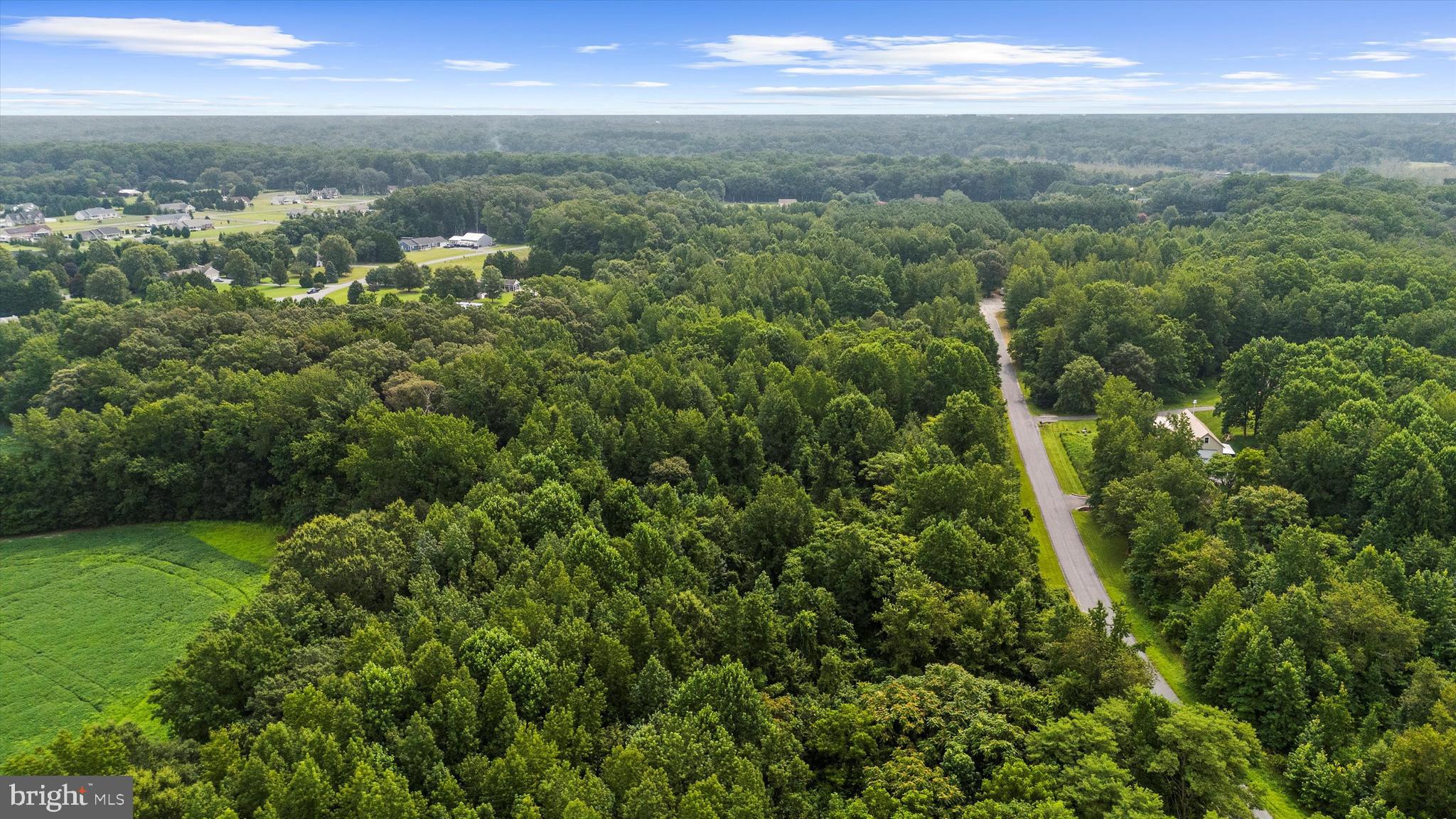 Burnt Mill Road Ridgely, MD 21660 - Photo 5 of 8 a view of a city from a yard