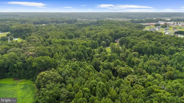 a view of a city with lush green forest