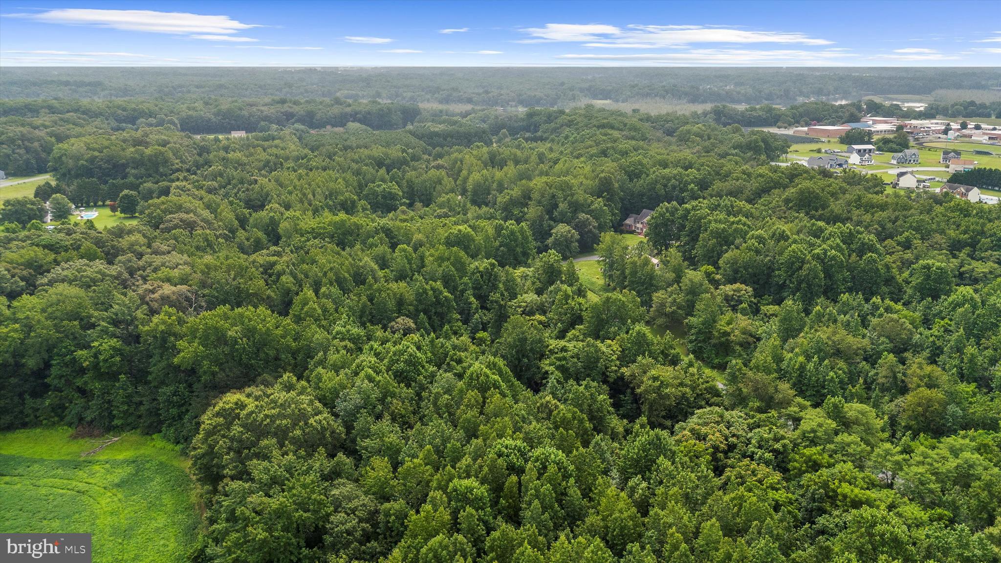 Burnt Mill Road Ridgely, MD 21660 - Photo 6 of 8 a view of a city with lush green forest