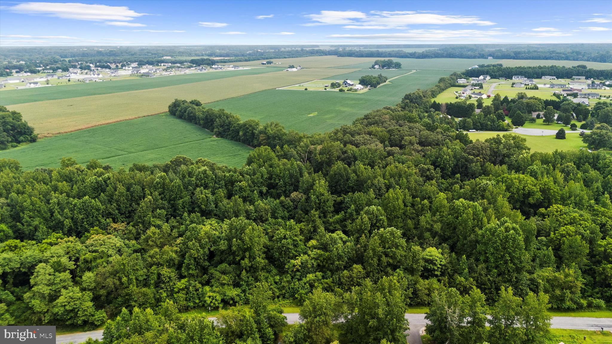 Burnt Mill Road Ridgely, MD 21660 - Photo 8 of 8 a view of a city with an ocean