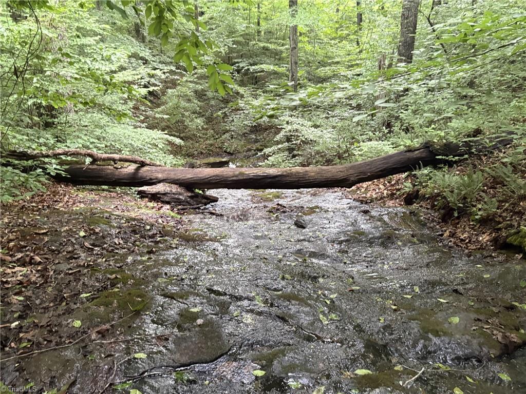 0 Nubbin Ridge Road Reidsville, NC 27320 - Photo 10 of 13
