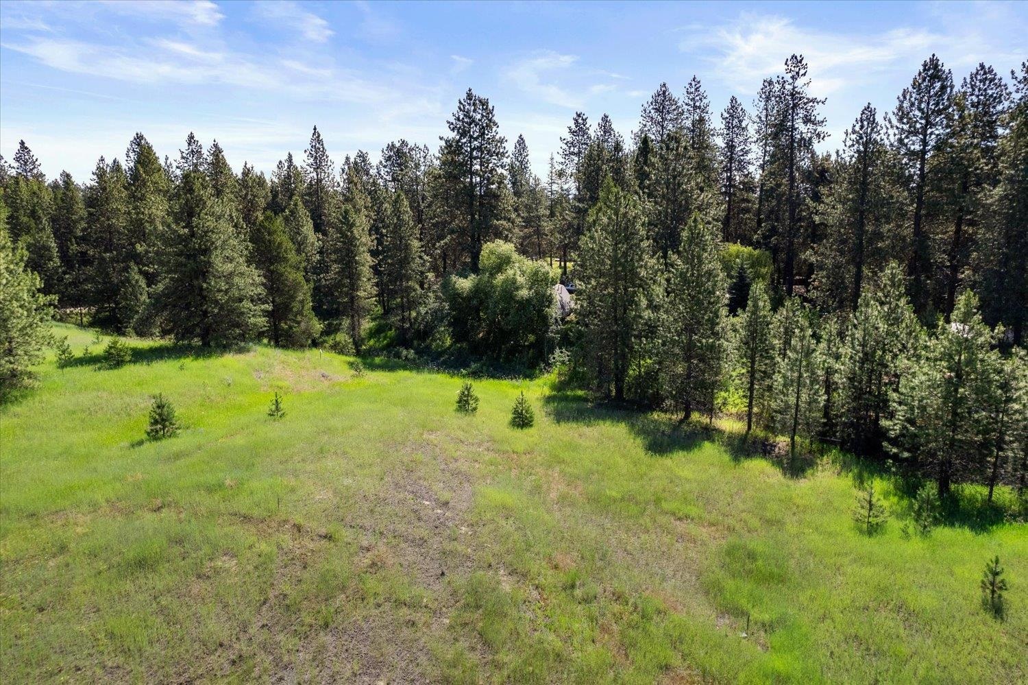 31313 North Staghorn Road Deer Park, WA 99006 - Photo 40 of 50 Gallery Image 40