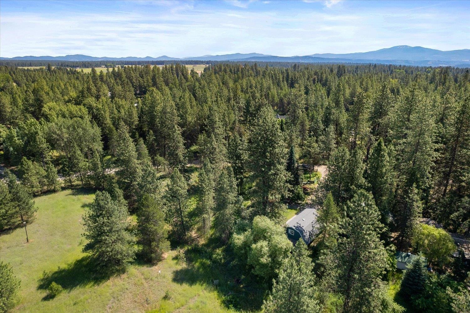 31313 North Staghorn Road Deer Park, WA 99006 - Photo 41 of 50 Gallery Image 41