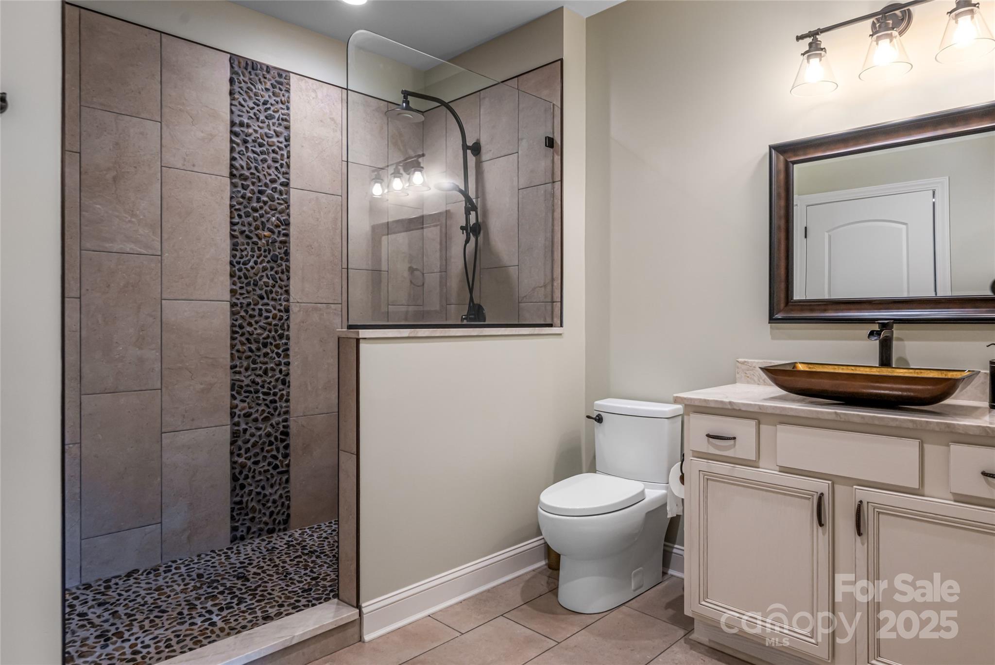 64 Waterhill Way Fletcher, NC 28732 - Photo 35 of 48 a bathroom with a toilet a sink and a mirror