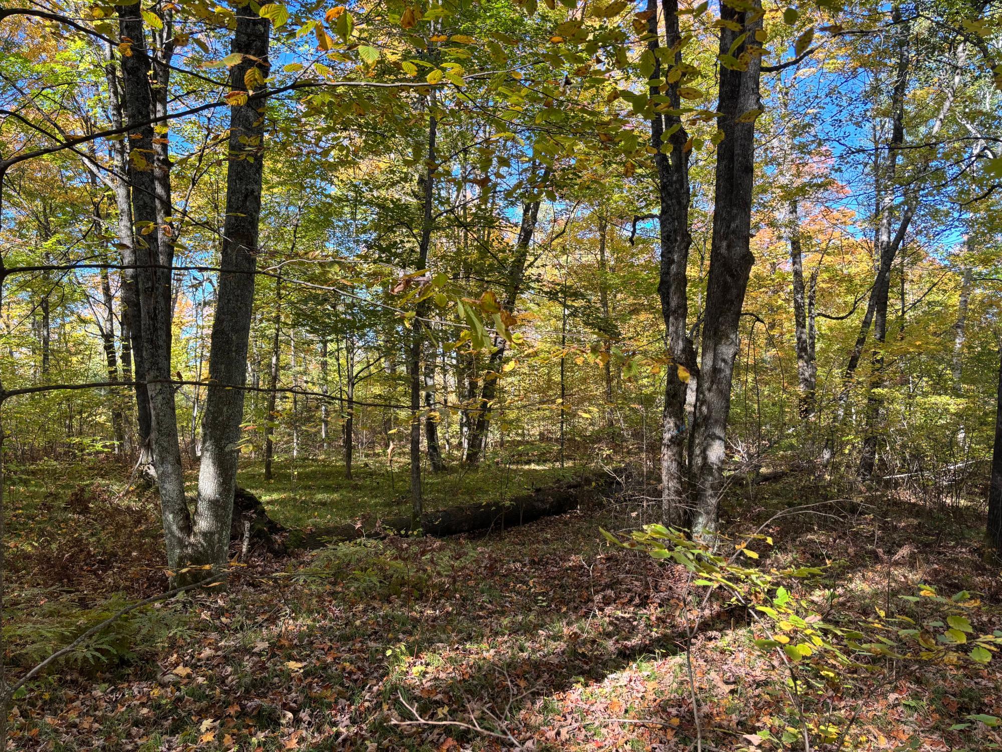 Lot 1 Kentuck Lake Road Phelps, WI 54554 - Photo 15 of 15 Gallery Image 15