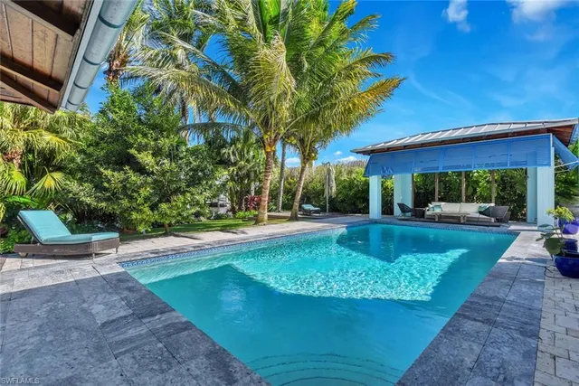 a view of a backyard with plants and palm trees