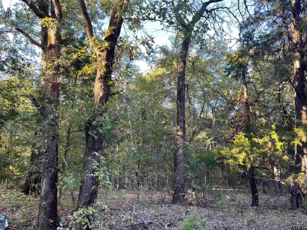 $55,000 | 0 Cr 4710 Larue Tx 75770, Larue, TX 75770