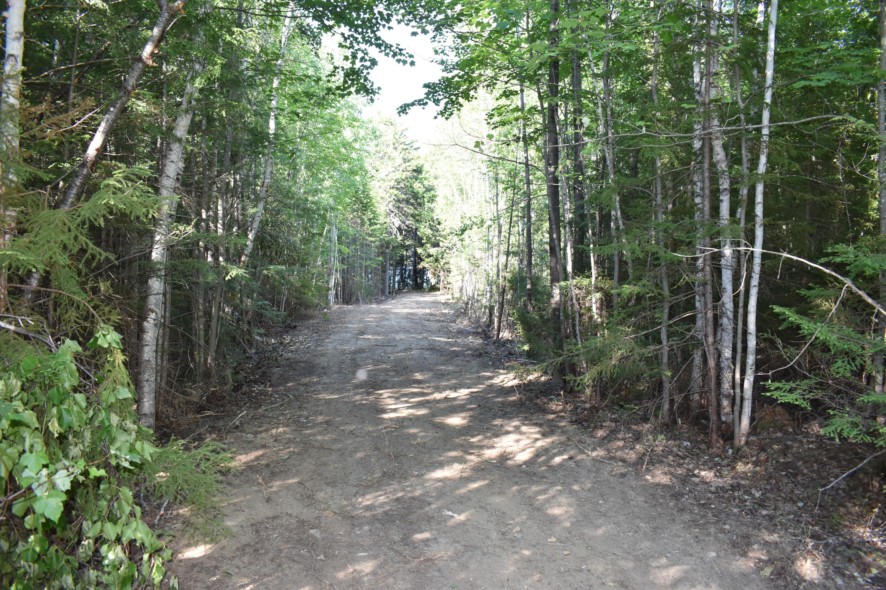 Tbd Lot Tbd Road Lakeville, ME 04487 - Photo 28 of 31 DSC_0482