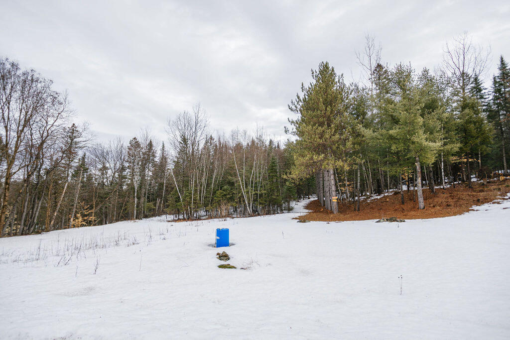 306 Lemon Stream Road New Portland, ME 04961 - Photo 34 of 41 taylor-kaminsky-photo-014