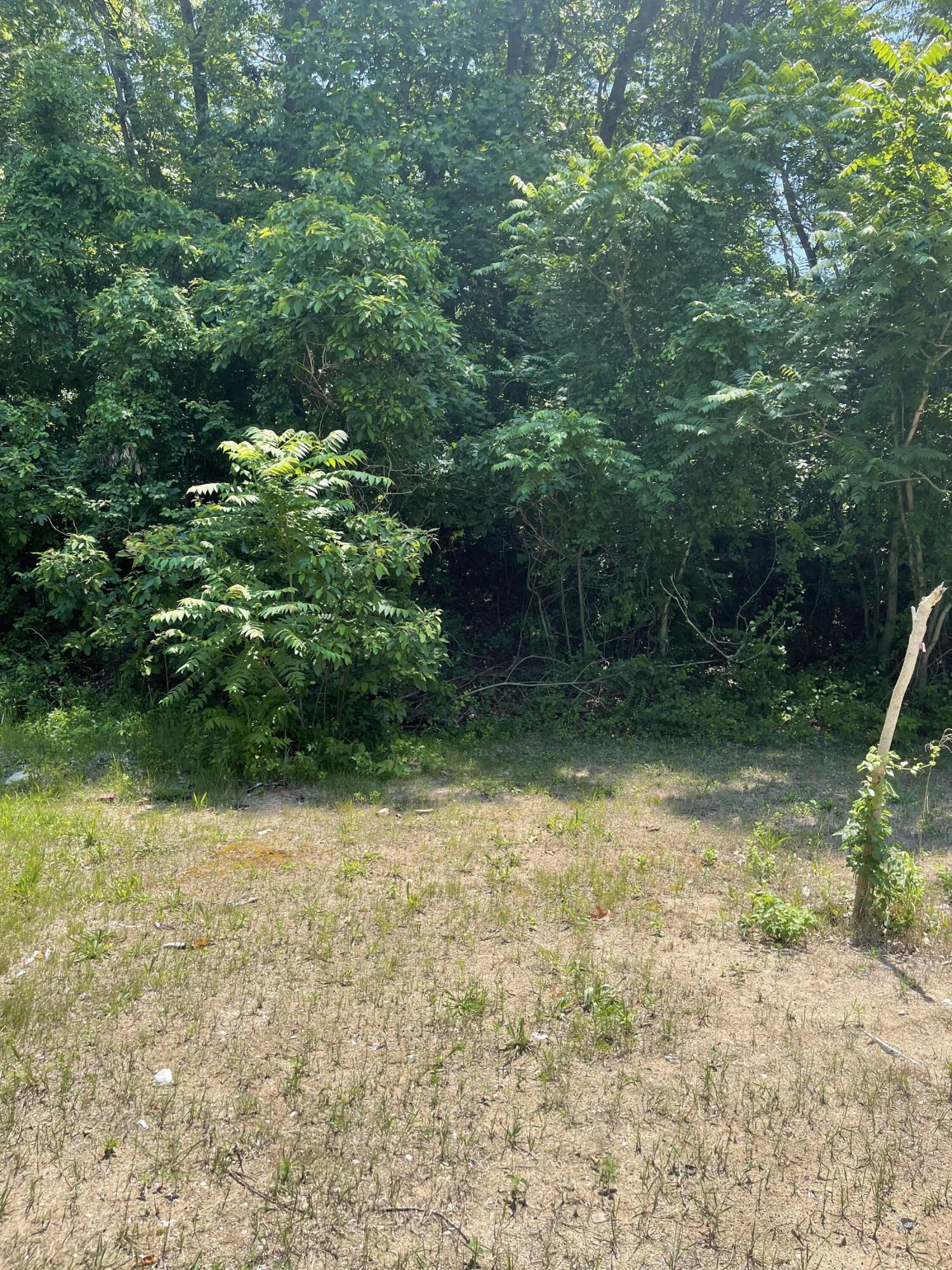 0 Belle Road Michigan City, IN 46360 - Photo 2 of 4 1500x2000