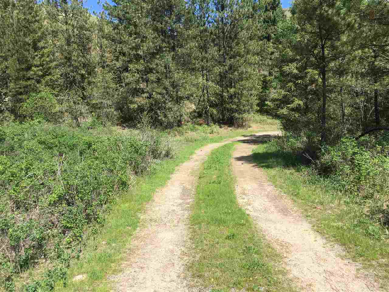 Dd South Lantzy Road Hunters, WA 99137 - Photo 6 of 7 Gallery Image 6
