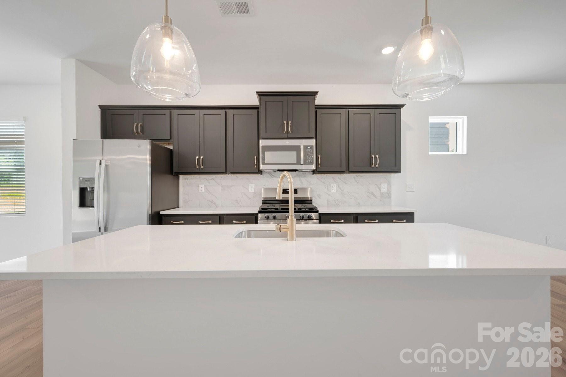 1485 Kate Cecil Way York, SC 29745 - Photo 5 of 47