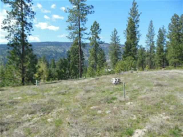 1349 Ridgecrest Way Kettle Falls, WA 99141 - Photo 1 of 13 Gallery Image 1
