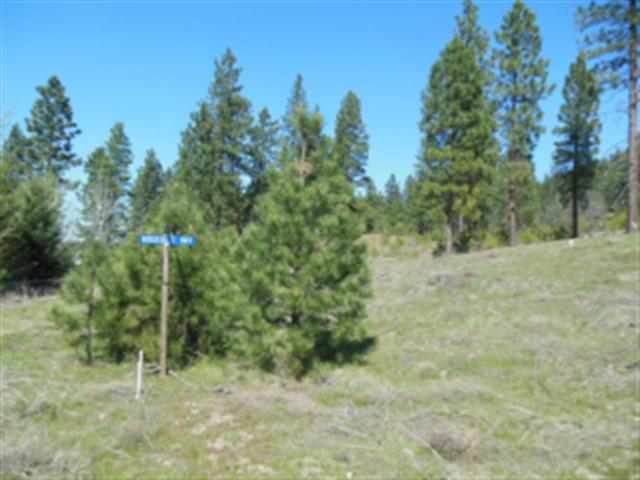 1349 Ridgecrest Way Kettle Falls, WA 99141 - Photo 3 of 13 Gallery Image 3