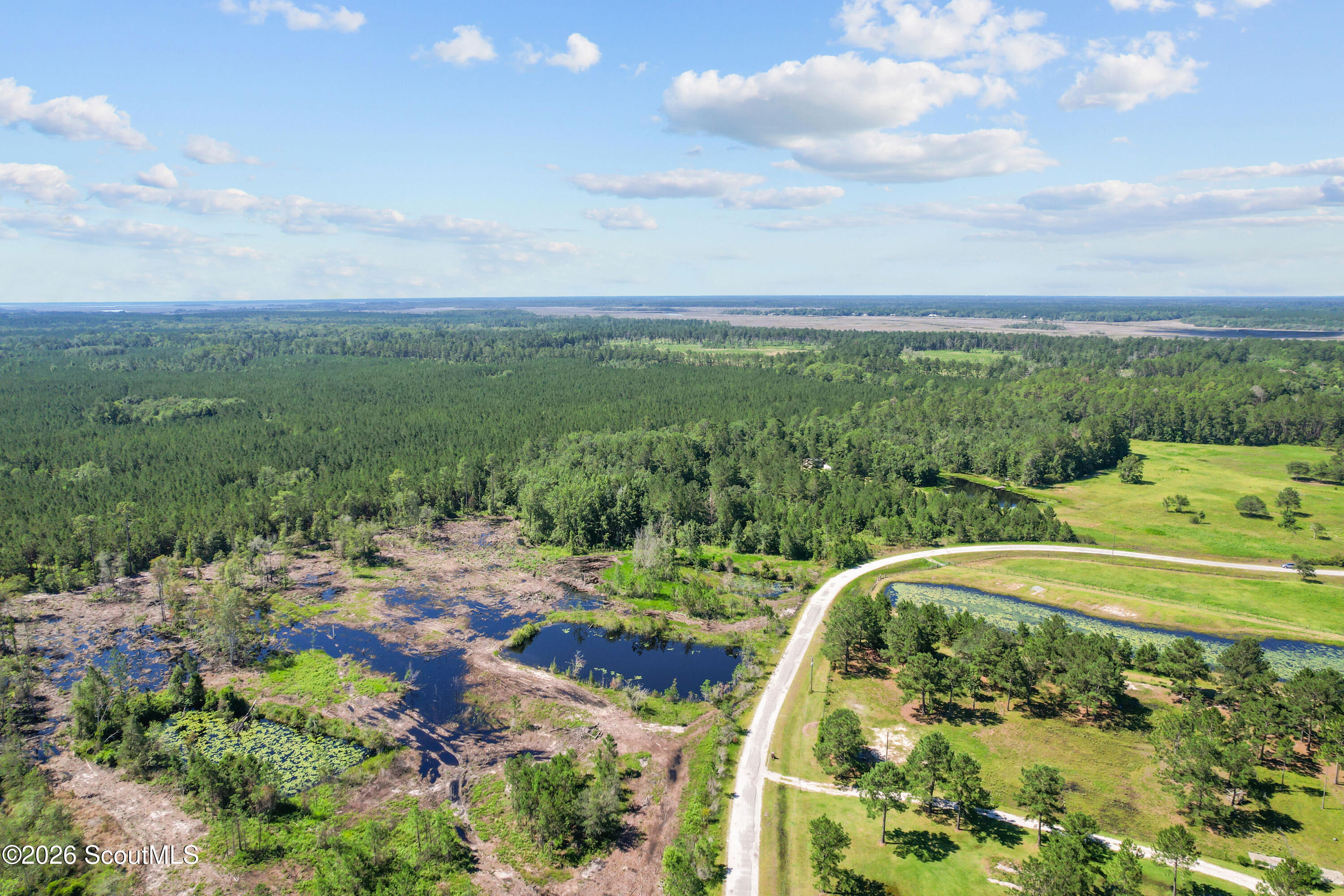 0 Waverly Farms Road Waverly, GA 31565 - Photo 6 of 16 DJI_0350
