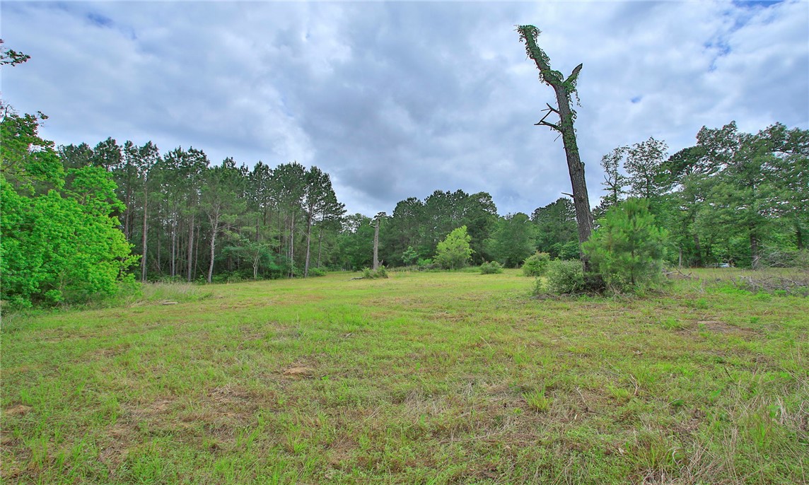 5914 Carter Road Waller, TX 77484 - Photo 29 of 41