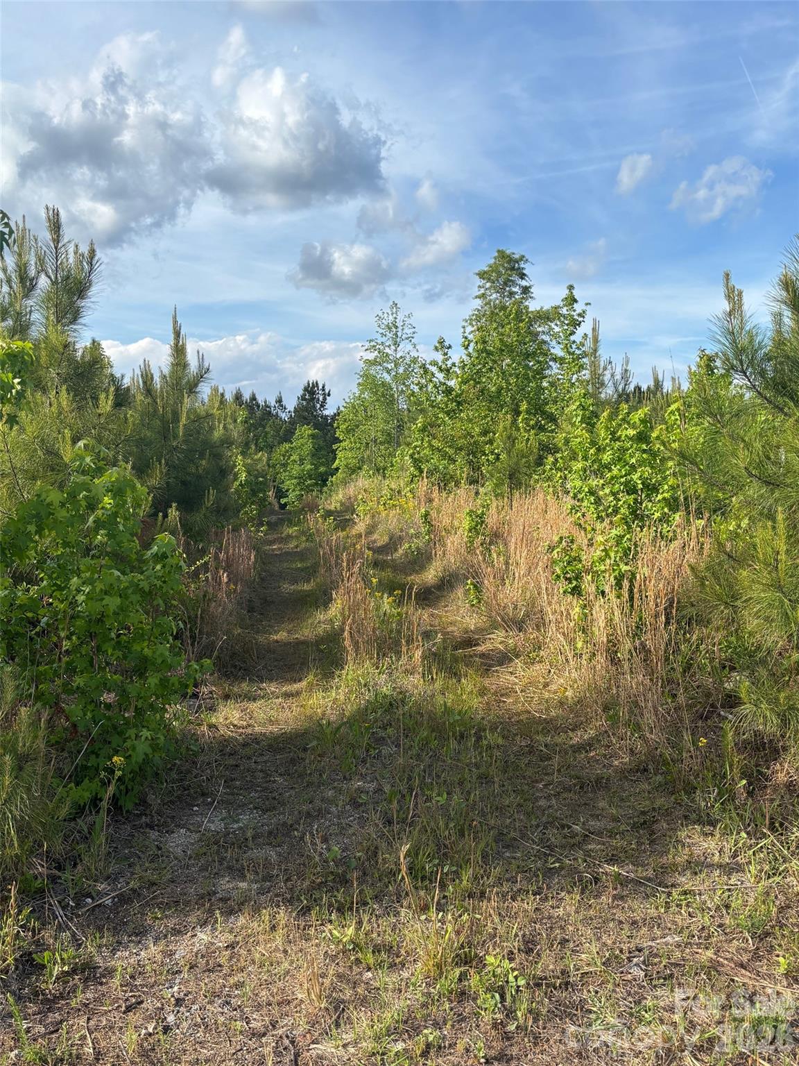 Tbd Beaker Road Heath Springs, SC 29058 - Photo 6 of 8 a view of a yard