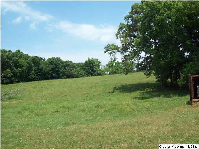 2788 Cox Cove Road Hayden, AL 35079 - Photo 3 of 32