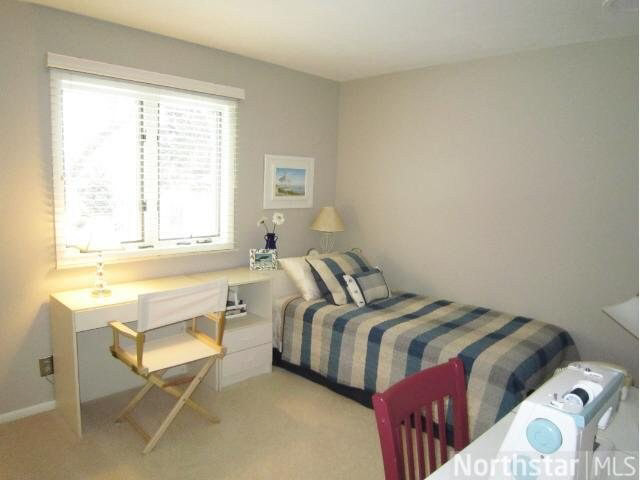 1742 James Road Mendota Heights, MN 55118 - Photo 17 of 18 Gallery Image 17
