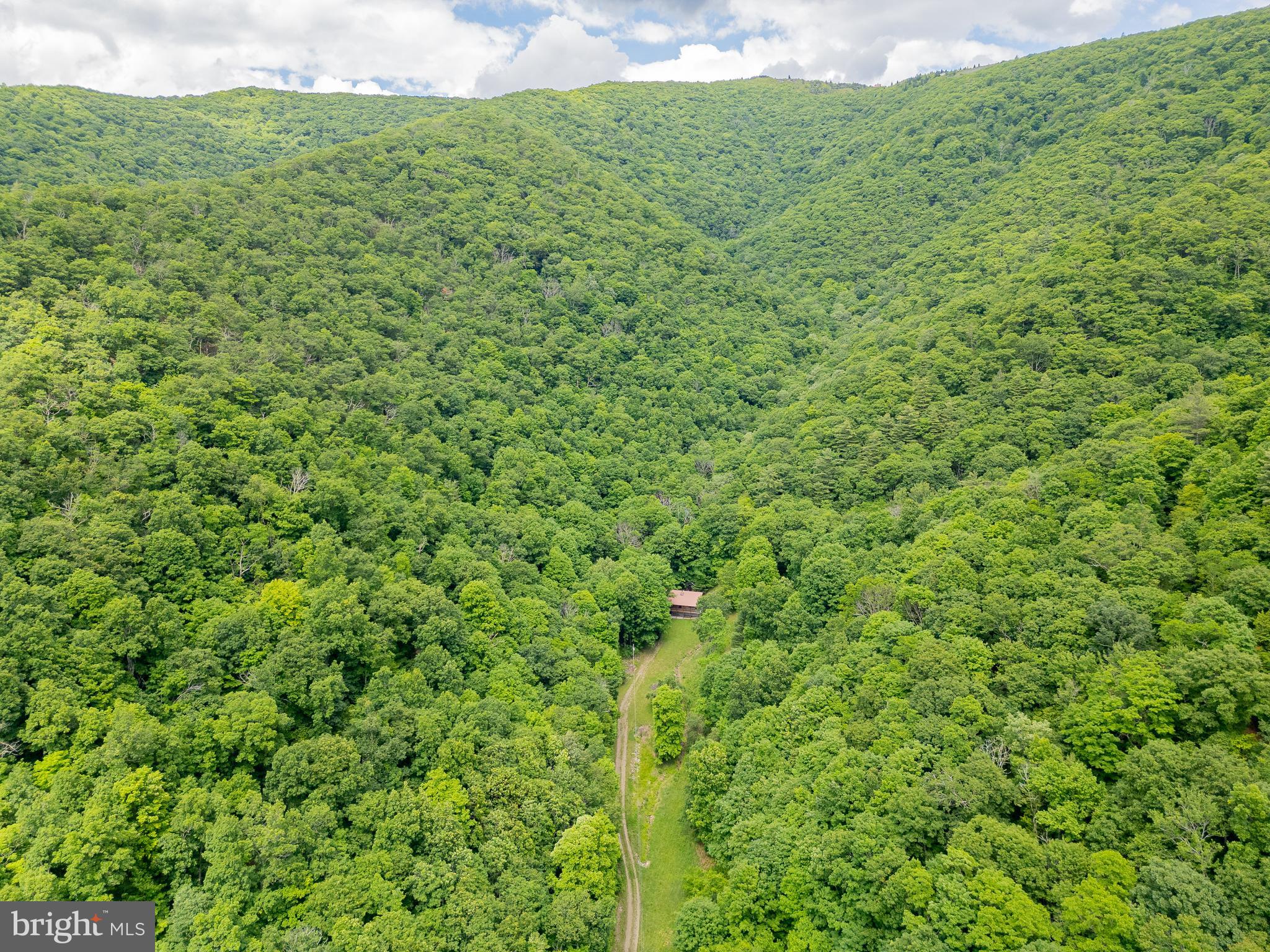1862 Hawbush Road Circleville, WV 26804 - Photo 13 of 83