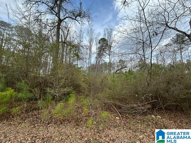 66 Shady Lane, Unit 7678 Ohatchee, AL 36271 - Photo 4 of 12