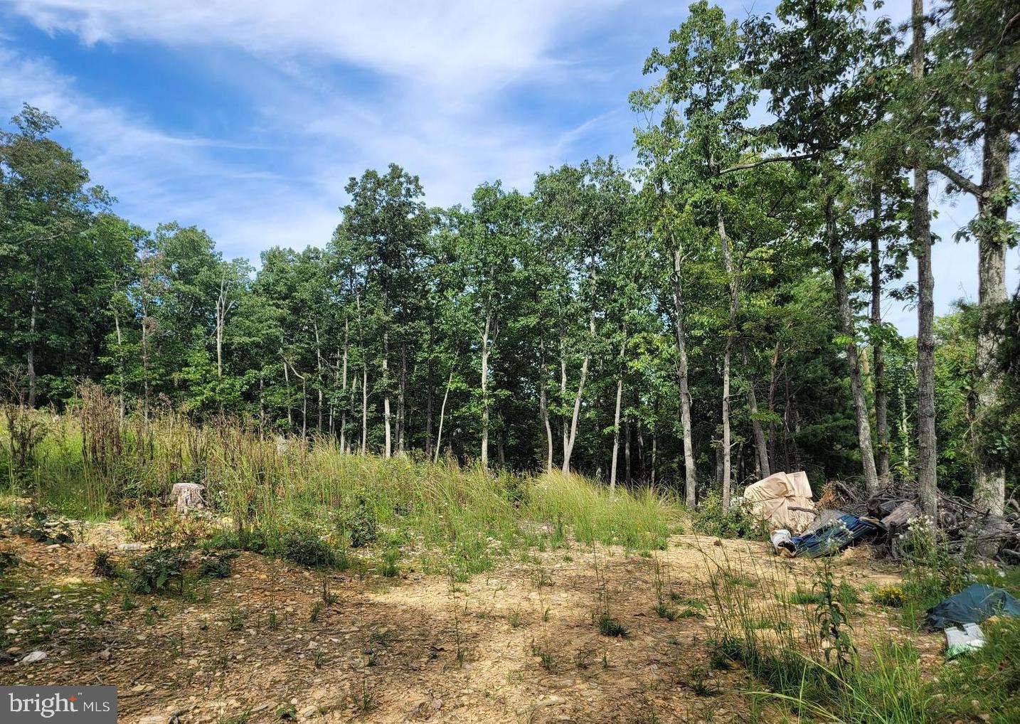 1708 Mercer Road Haymarket, VA 20169 - Photo 7 of 65 a backyard of a house with lots of green space
