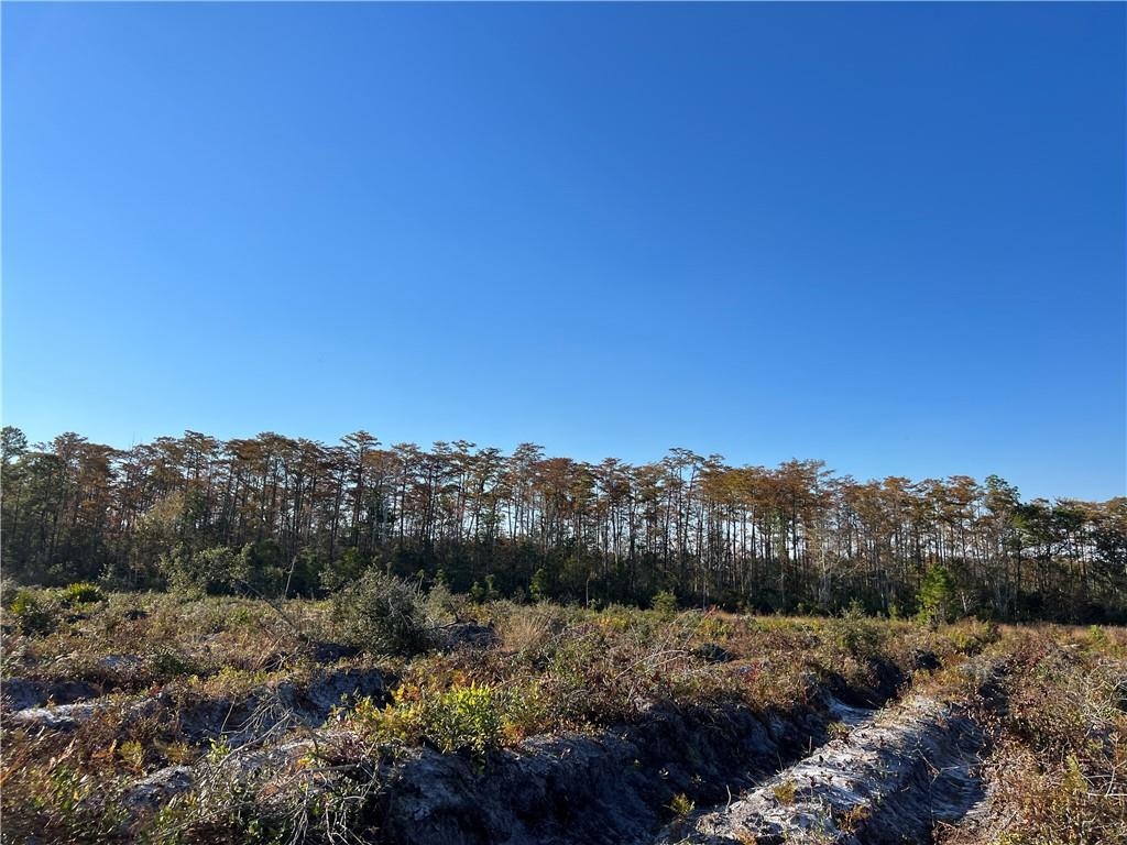99 Highway 99 Townsend, GA 31331 - Photo 21 of 36
