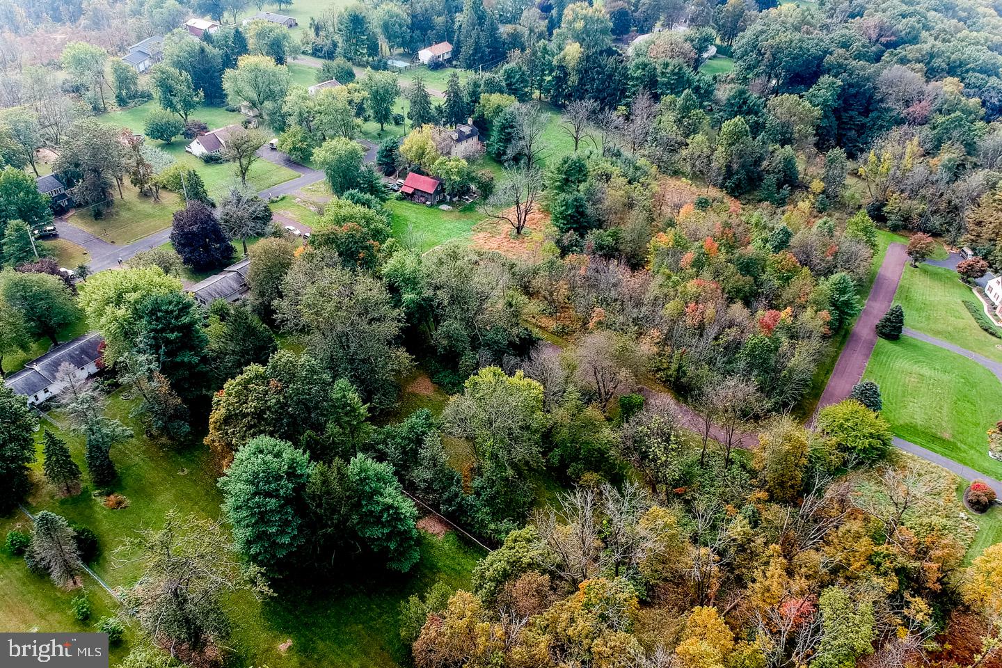 518 Upper Stump Road Chalfont, PA 18914 - Photo 4 of 62 a view of a garden with lots of trees and flowers