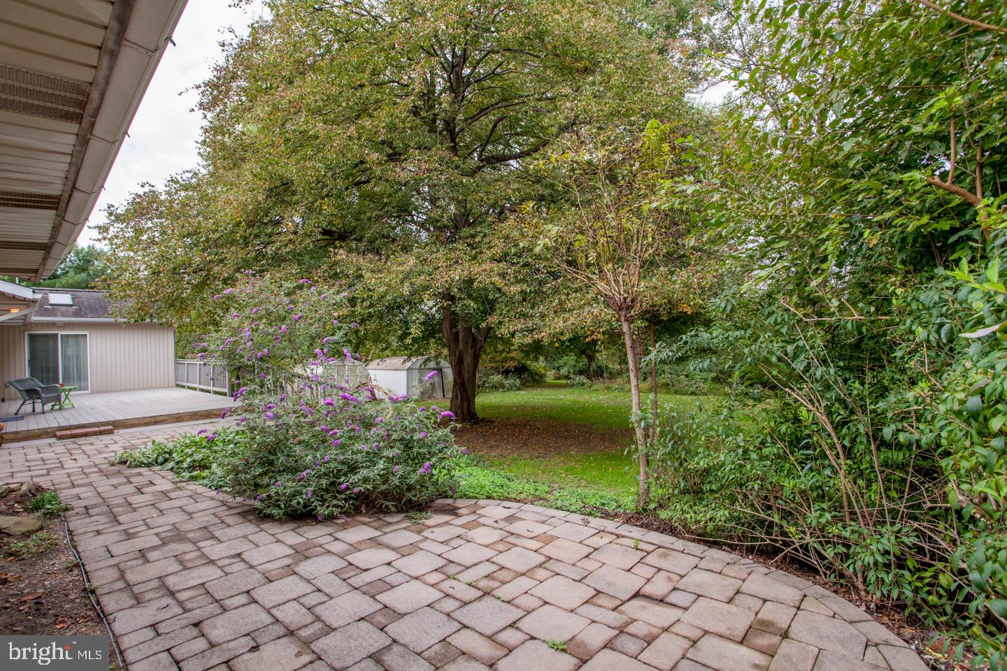 518 Upper Stump Road Chalfont, PA 18914 - Photo 52 of 62 a backyard of a house with lots of green space