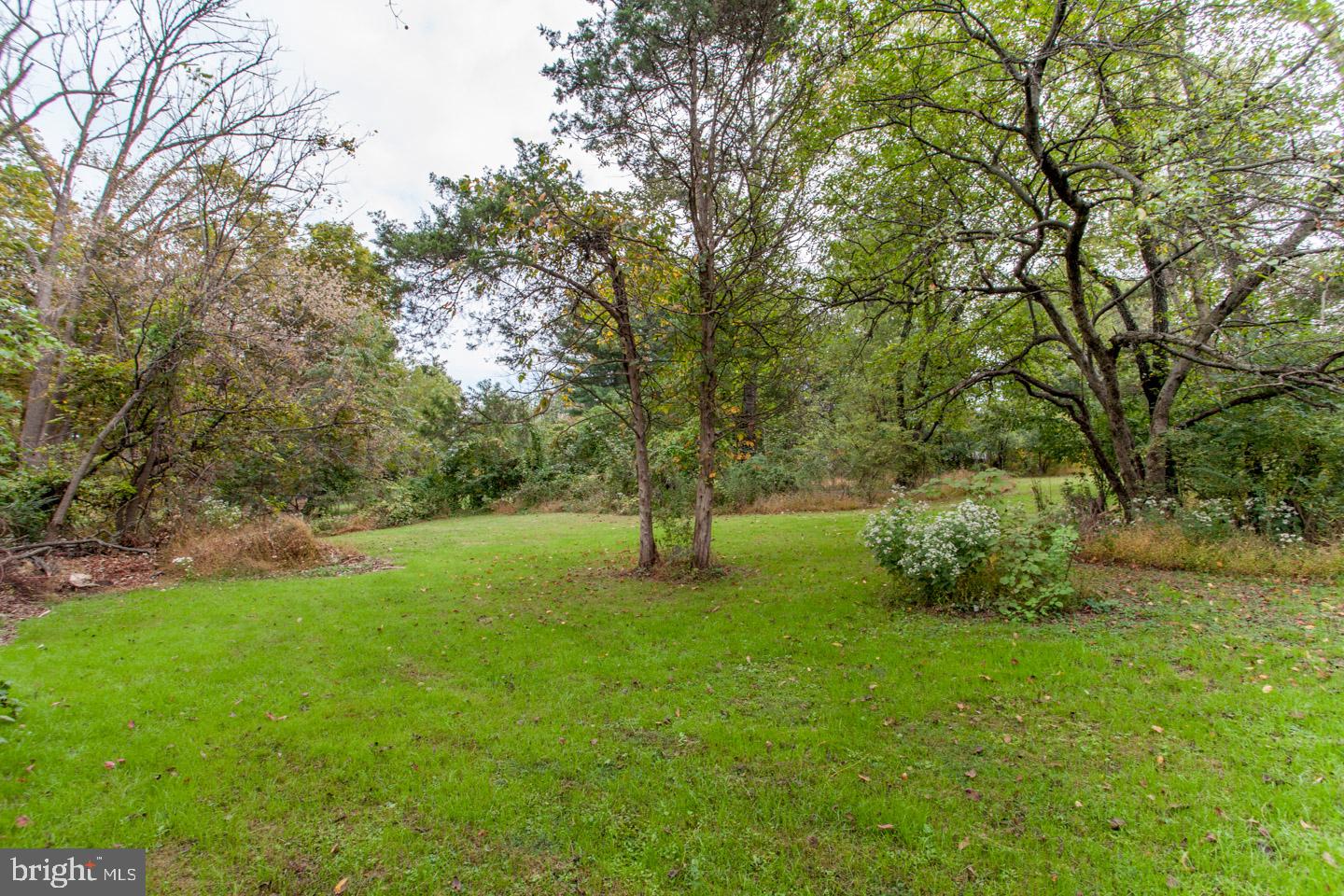 518 Upper Stump Road Chalfont, PA 18914 - Photo 60 of 62 a big yard with lots of green space and plants