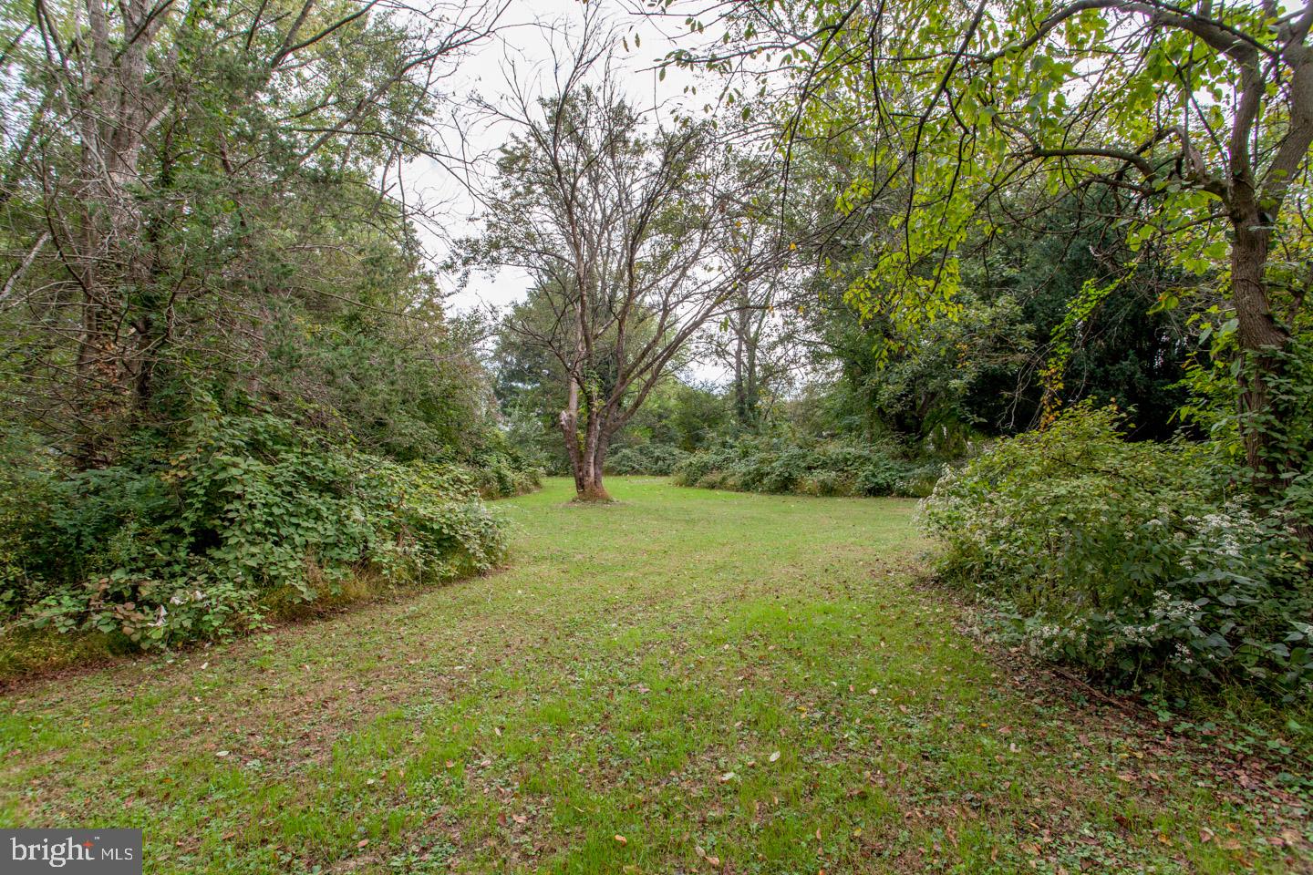 518 Upper Stump Road Chalfont, PA 18914 - Photo 61 of 62 a view of outdoor space and yard
