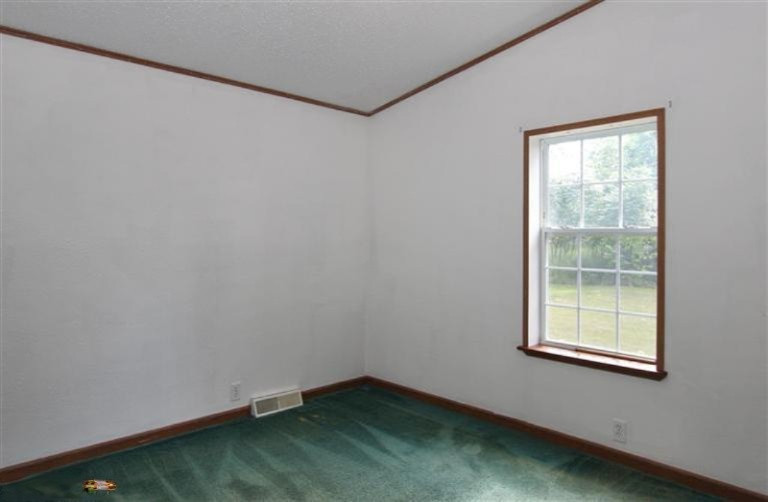 411 Coral Road Northwest Stanton, MI 48888 - Photo 18 of 24 Additional Photo