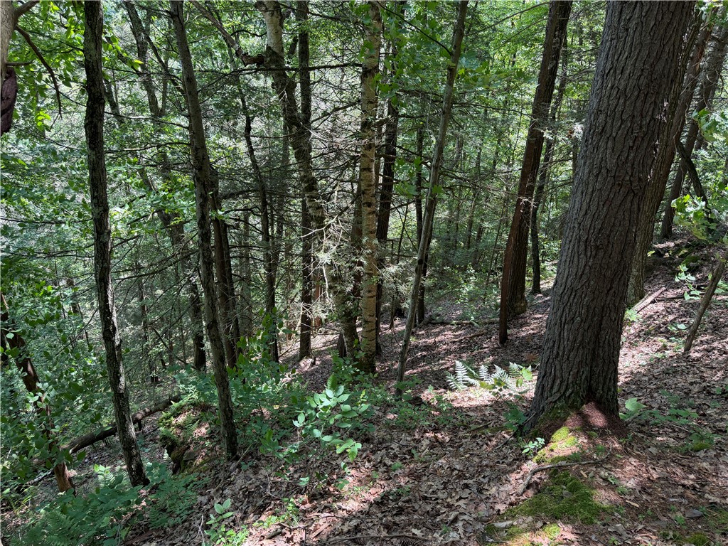 Vl Catatunk Road, Unit R Canisteo, NY 14823 - Photo 42 of 50