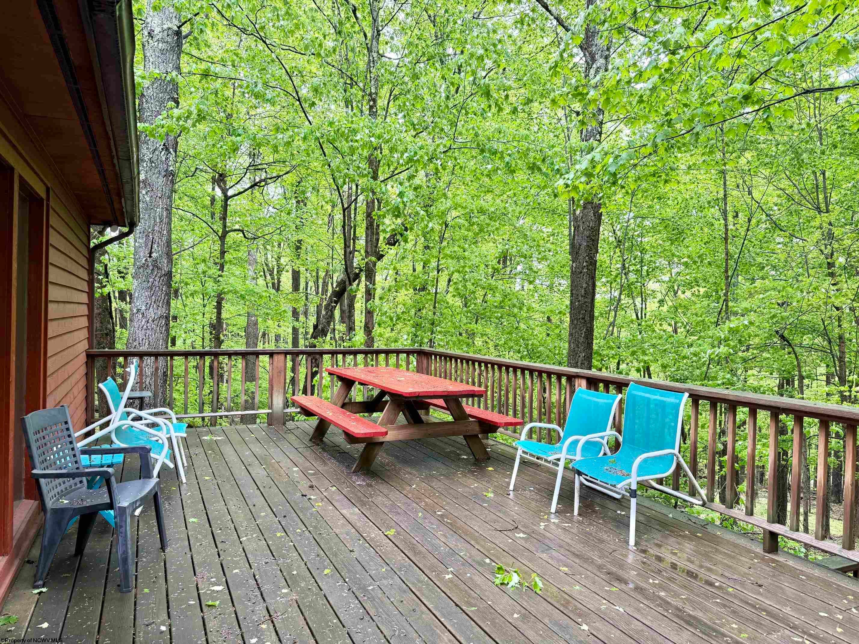 785 Ridge Road Davis, WV 26260 - Photo 25 of 31 Gallery Image 25