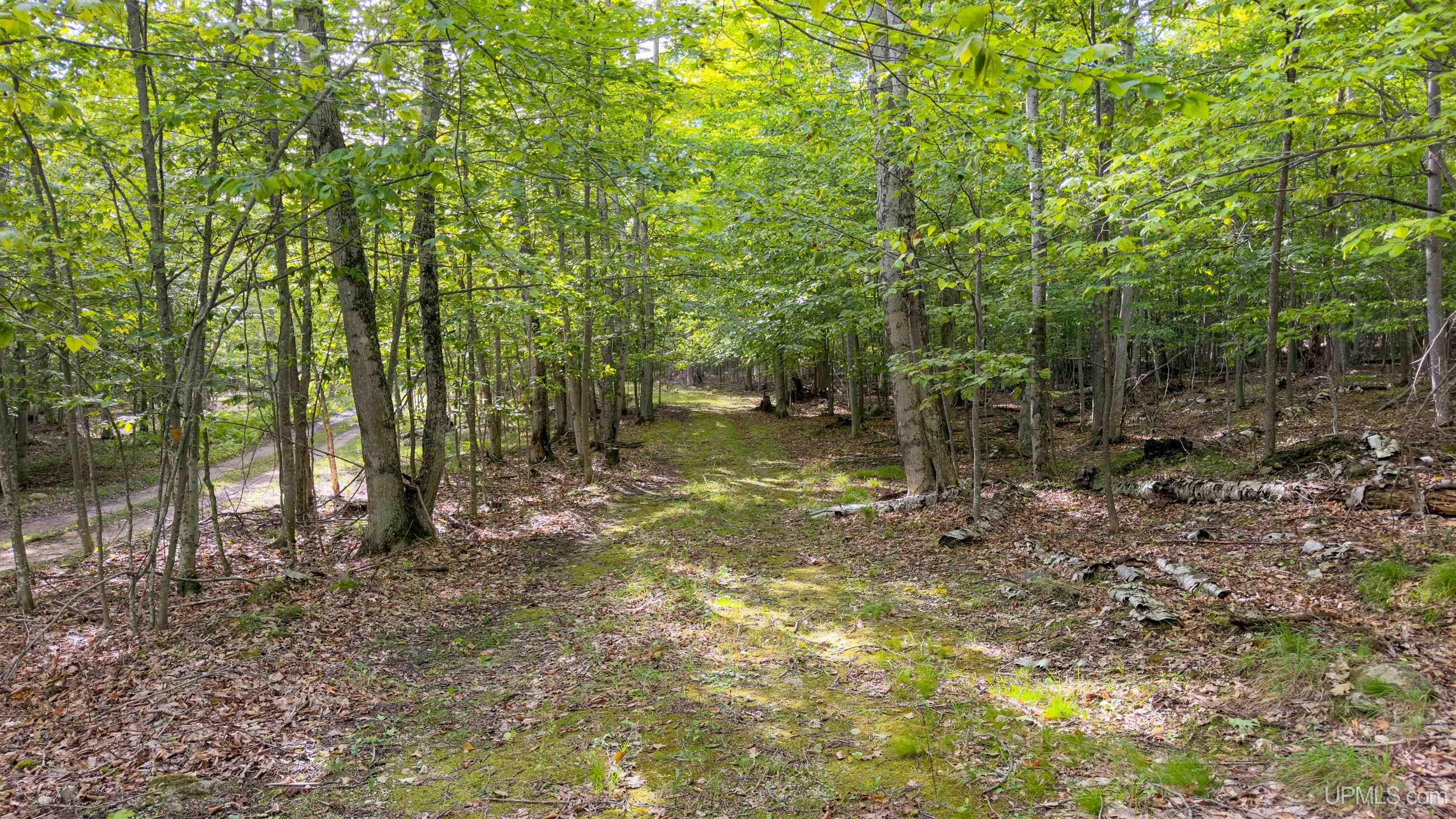 Tbd 9.5 Road Garden, MI 49835 - Photo 8 of 61 Gallery Image 8