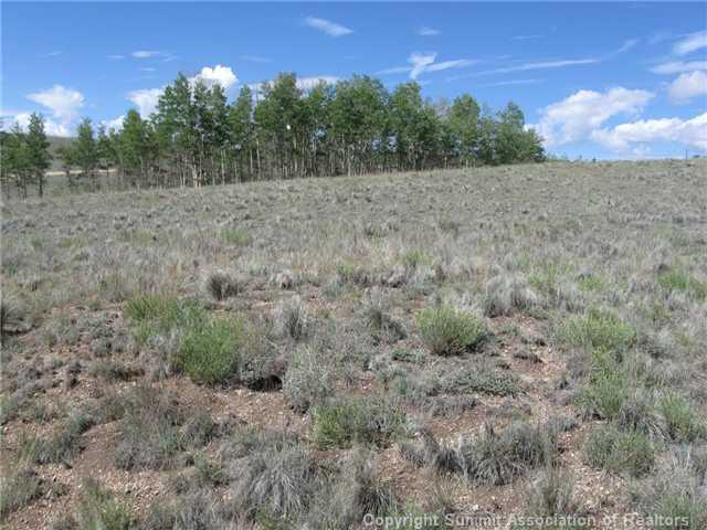163 Mannlicher Road Como, CO 80432 - Photo 1 of 10 Gallery Image 1