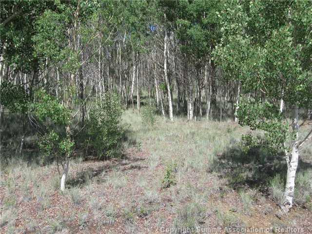 163 Mannlicher Road Como, CO 80432 - Photo 3 of 10 Gallery Image 3