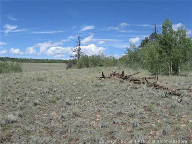 163 Mannlicher Road Como, CO 80432 - Photo 10 of 10 Gallery Image 10