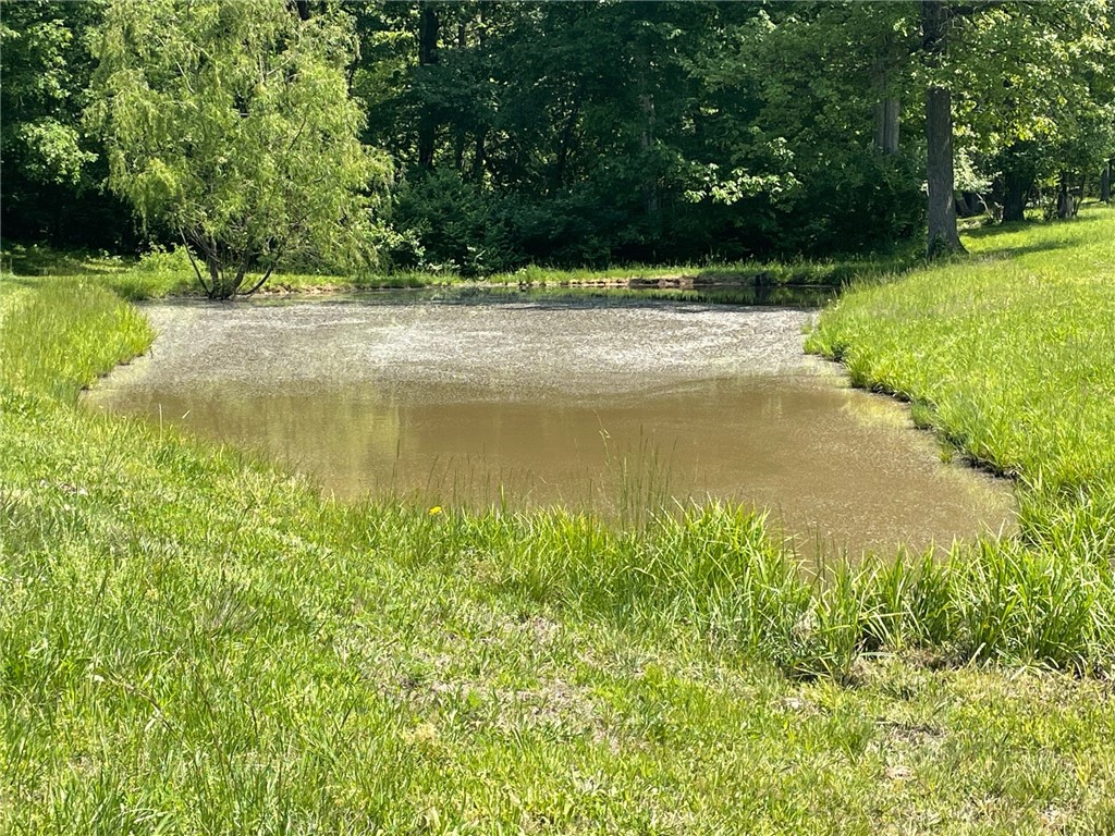500 East County Road Toledo, IL 62468 - Photo 2 of 4