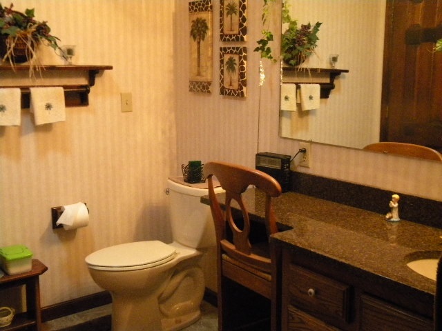 280 George Home Road Waynesboro, VA 22980 - Photo 13 of 29 a bathroom with a sink and a toilet