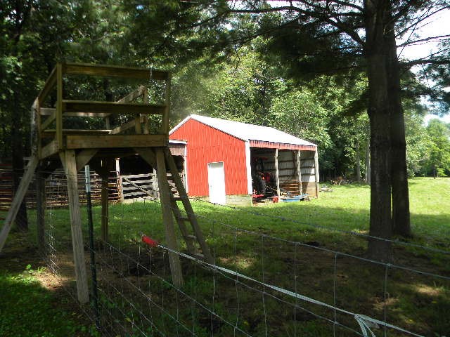 280 George Home Road Waynesboro, VA 22980 - Photo 24 of 29 a view of a house with backyard