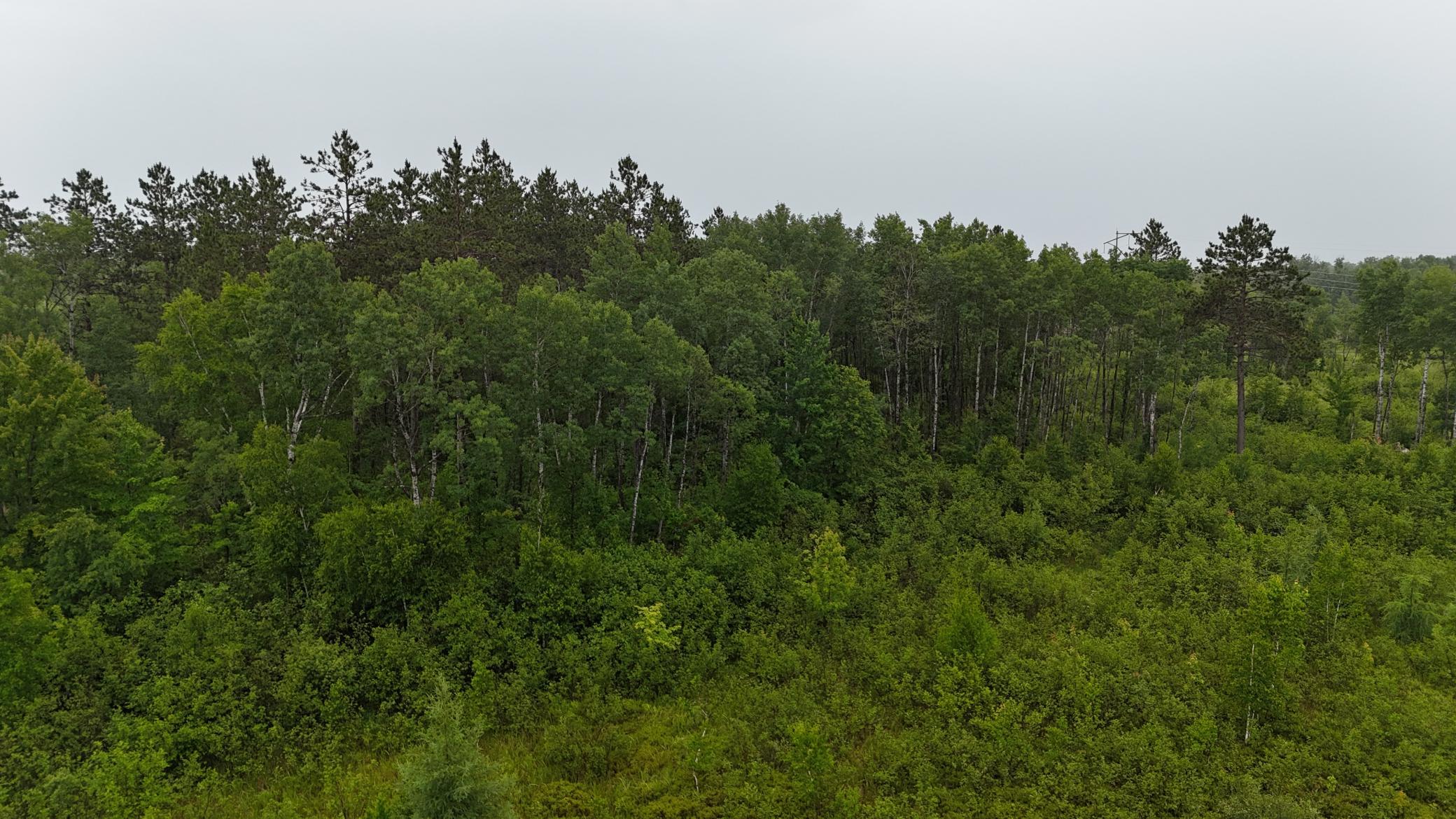 Tbd Klejeski Road Sandstone, MN 55072 - Photo 26 of 32