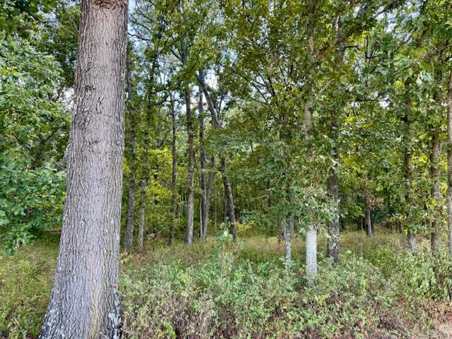 22285 Midvale Road Summersville, MO 65571 - Photo 77 of 80 IMG_8053