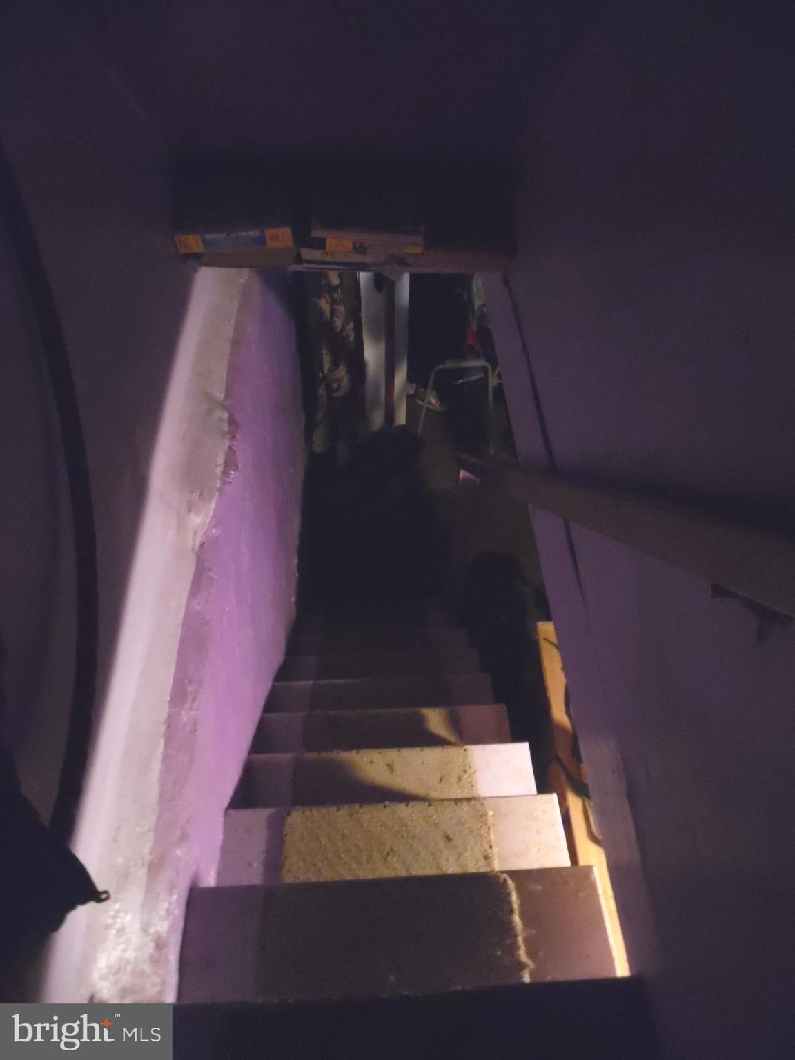 129 Chatham Road Upper Darby, PA 19082 - Photo 21 of 30 Stairs to basement