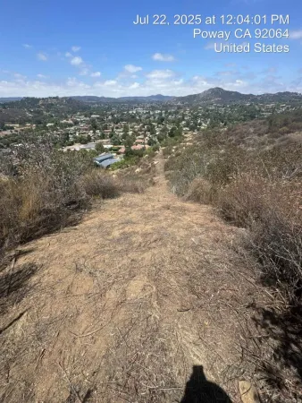 a view of a dry yard