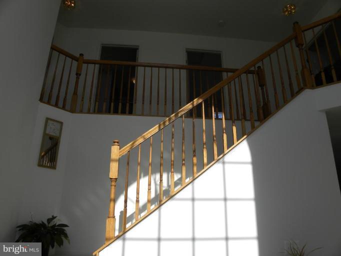 Entrance / Foyer