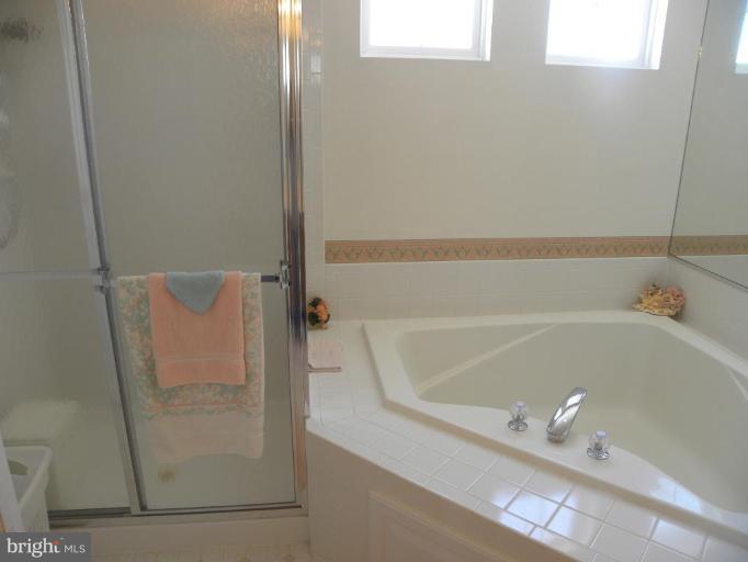 1760 Castle Rock Road Frederick, MD 21701 - Photo 10 of 24 Master Bath