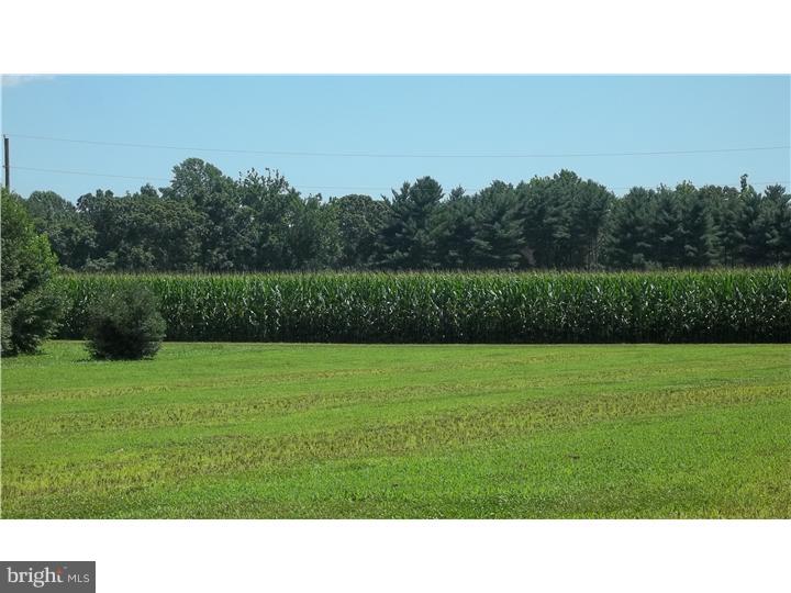 18 Telegraph Road Bridgeton, NJ 08302 - Photo 14 of 18