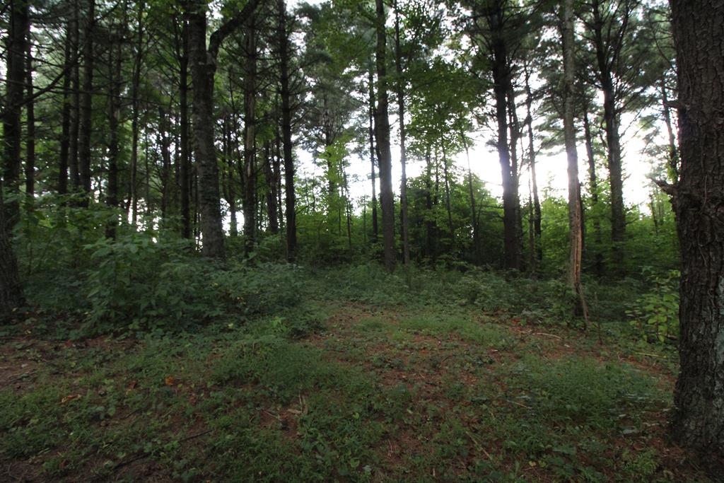 1321 Hurricane Ridge Road Meadows Of Dan, VA 24120 - Photo 62 of 73 Gallery Image 62