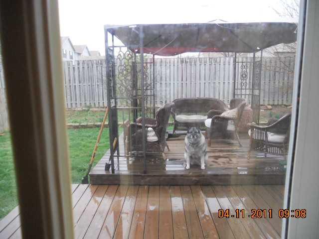 14924 Oak Road Carmel, IN 46033 - Photo 2 of 8